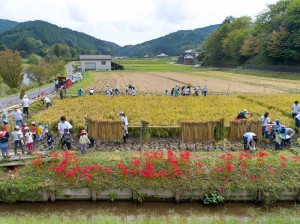 9／23日稲刈りと芋掘り_180924_0294